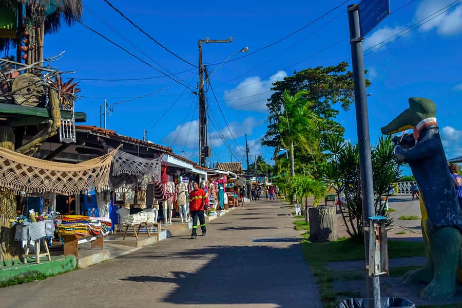 Joao Pessoa Northern Coast Beaches Day Tour - Key points at a glance