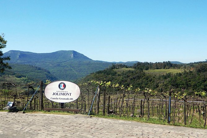 Jolimont Winery Tour - Visitation and Tasting - Canela RS - Who will enjoy this winery visit most