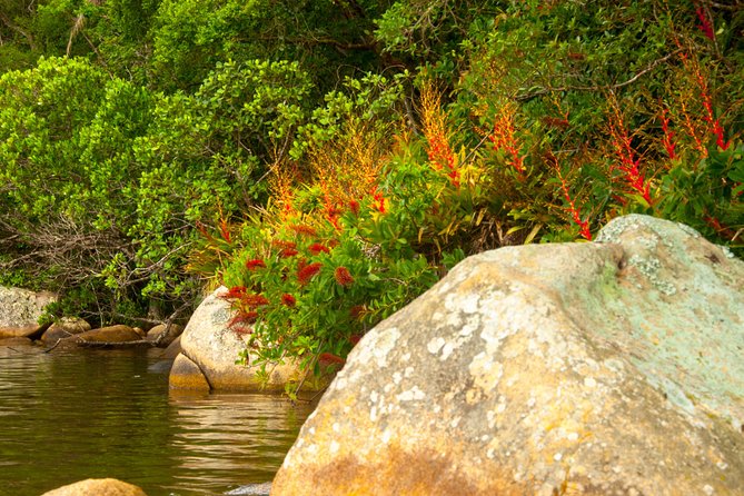 Kayak Water Trail in Red River Park by Adrenailha - Booking ahead and cancellation terms