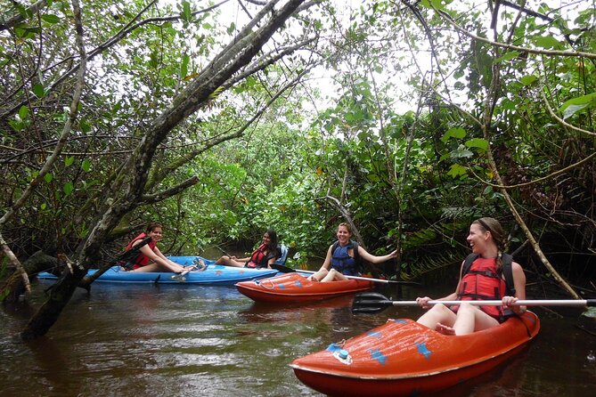 Kayaking Mangroves tour ( Natural Reserve ) - Entering the mangroves around Itú Island