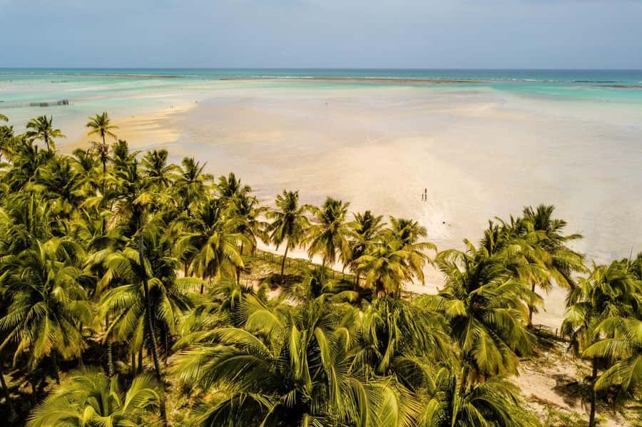 Maceio: Tour to Maragogi Beach - The long road from Maceió to Maragogi