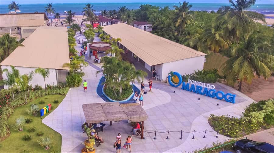 Maceio: Tour to Maragogi Beach - Timing, organization, and what to expect