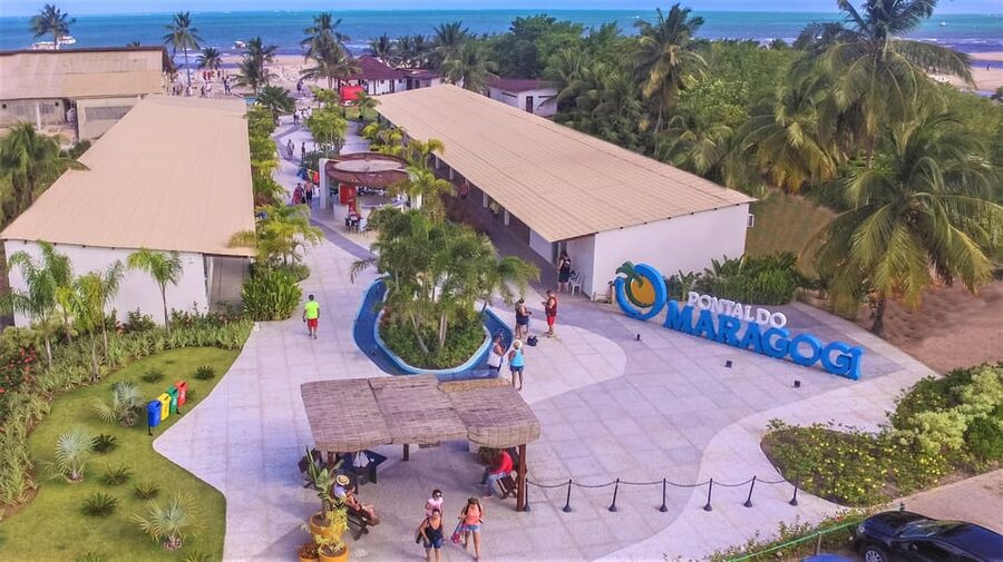 Maceio: Tour to Maragogi Beach - Who will enjoy this Maragogi day trip