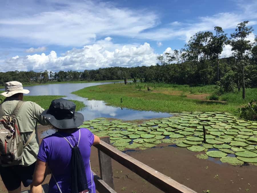 Manaus: 2-Day River Tour With Overnight Stay - Sunrise and the forest waking up