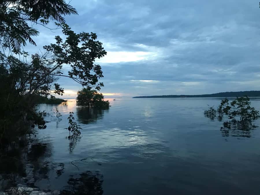 Manaus: 2-Day River Tour With Overnight Stay - A three-hour walk through the jungle