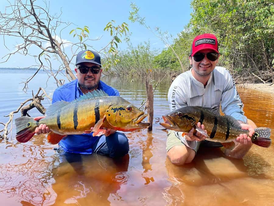 Manaus : A day of fishing on the Rio Negro - Should you book it?