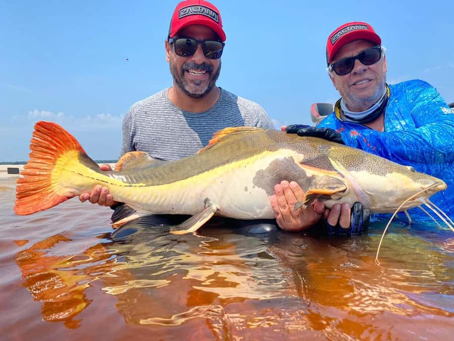 Manaus : A day of fishing on the Rio Negro - What fishing is really like with the supplied gear