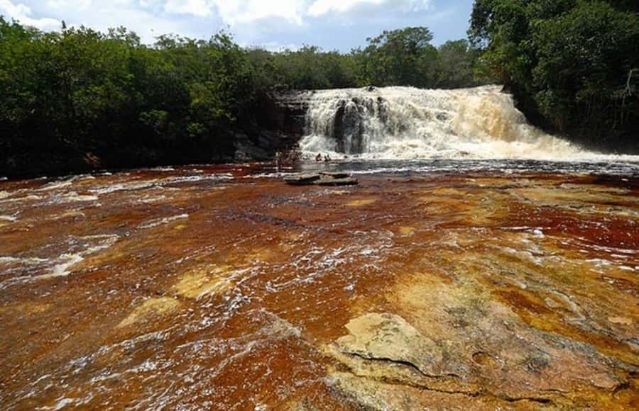 Manaus: Amazon Waterfalls Day Trip with Lunch - From Manaus to Presidente Figueiredo