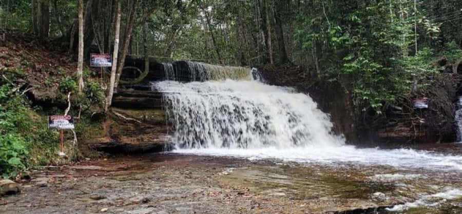 Manaus: Amazon Waterfalls Day Trip with Lunch - Guides, group size, and the pace of the day