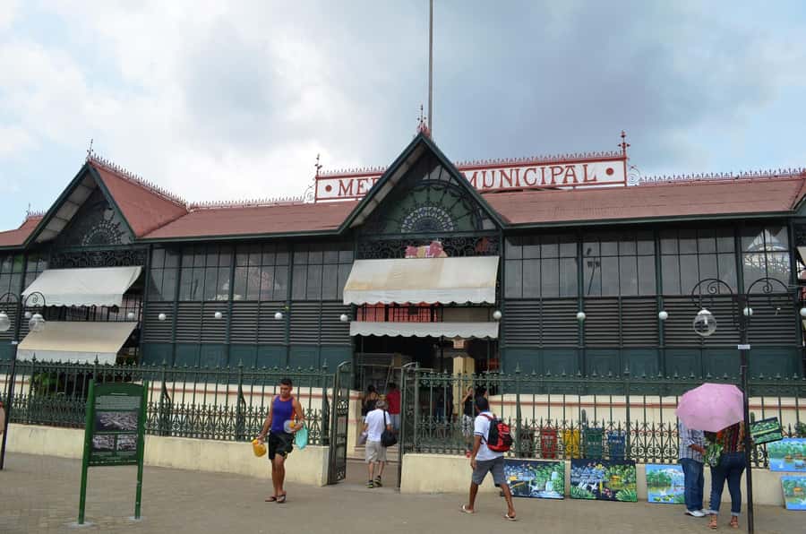 Manaus: Half-Day City Tour - Should you book the Manaus Half-Day City Tour?
