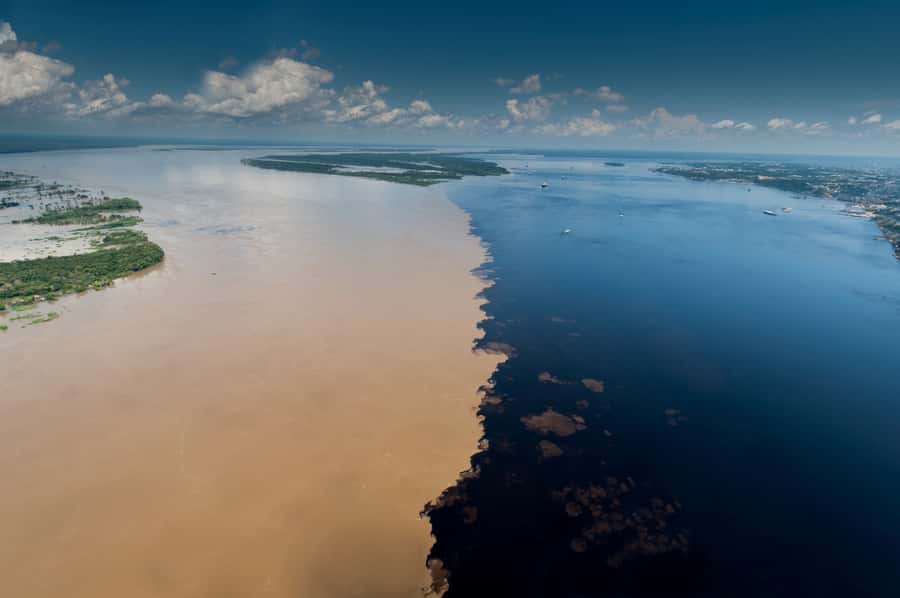 Manaus: Meeting of the Waters & Pink Dolphin Tour with Lunch - Key points to know before booking