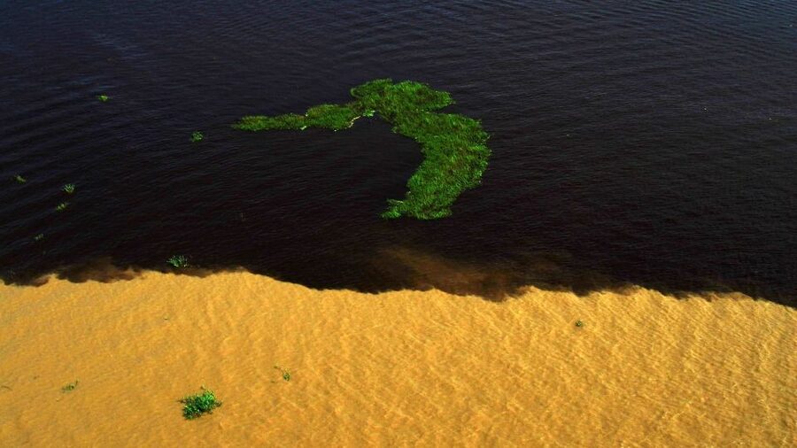 Manaus: Meeting of the Waters & Pink Dolphin Tour with Lunch - Regional food at Rainha da Selva