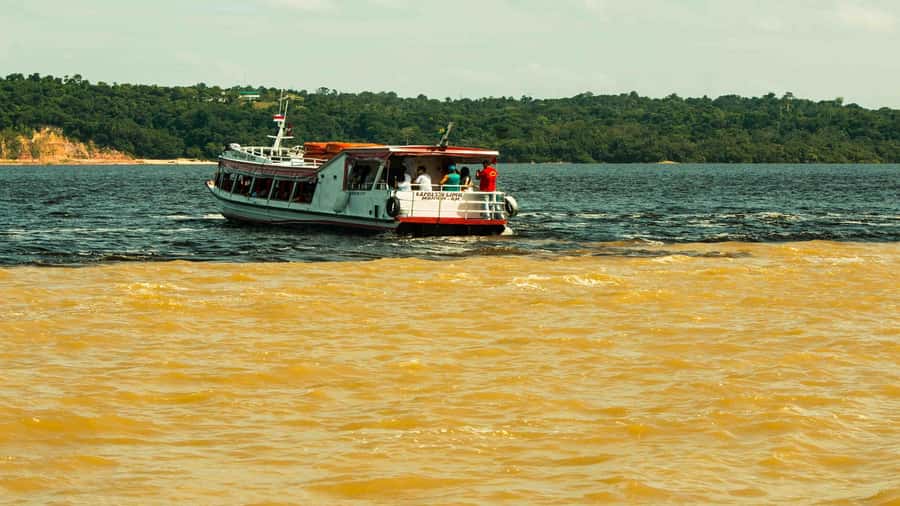 Manaus: Meeting of the Waters & Pink Dolphin Tour with Lunch - Canoeing through flooded forest