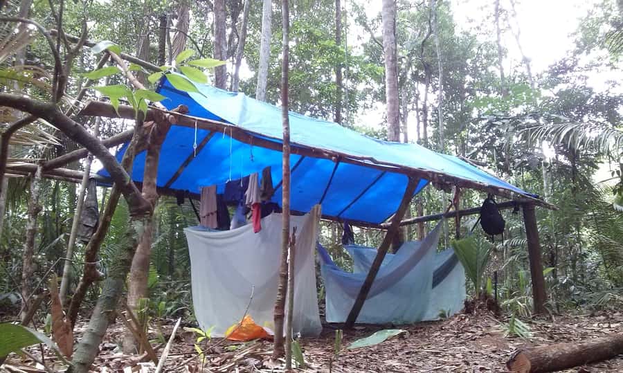 Manaus: Multi-Day Amazon Survival Trip with Camping - Key things to know before you go
