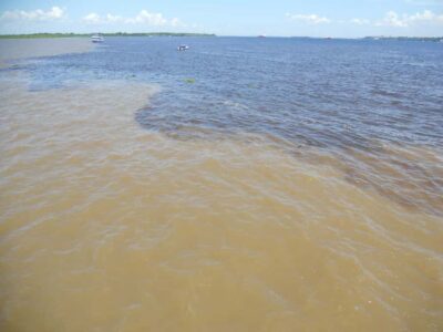 Multi-Day Amazon Trip at Tapiri Floating Lodge