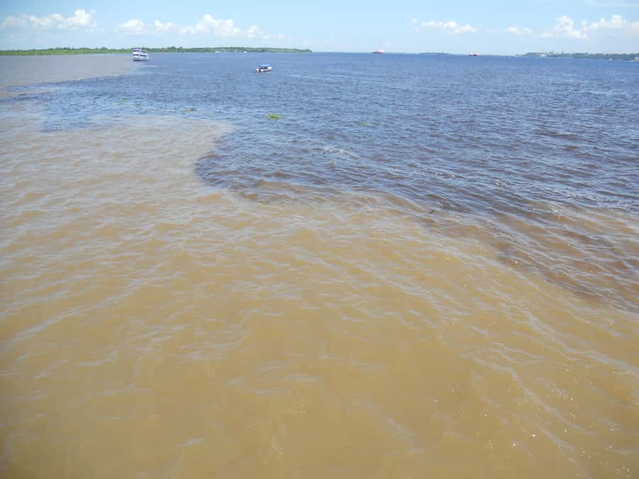 Manaus: Multi-Day Amazon Trip at Tapiri Floating Lodge - Your first afternoon: canoes, piranhas, and sunset