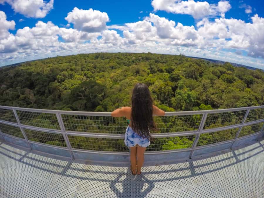 Manaus: MUSA and INPA Museums with Observation Tower Tour - Key points to know before you book