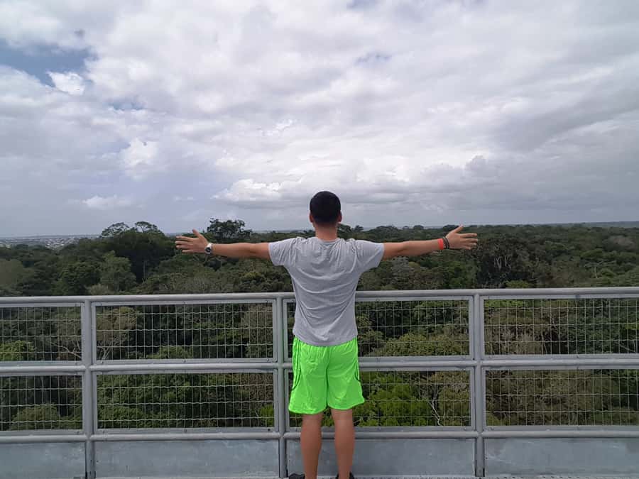 Manaus: MUSA and INPA Museums with Observation Tower Tour - A closer look at the one-day route