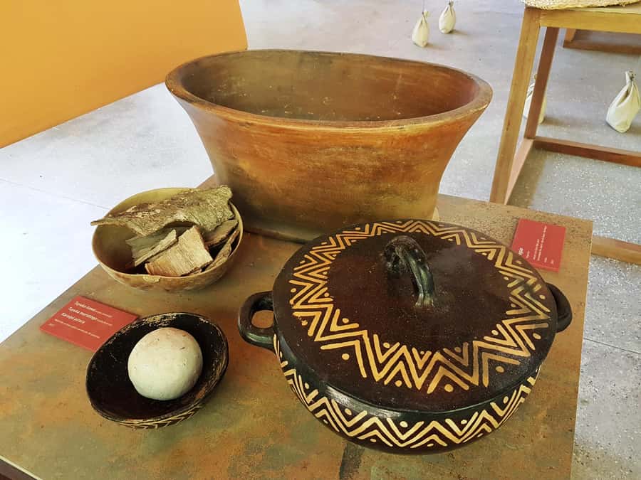 Manaus: MUSA and INPA Museums with Observation Tower Tour - What $50 really buys you