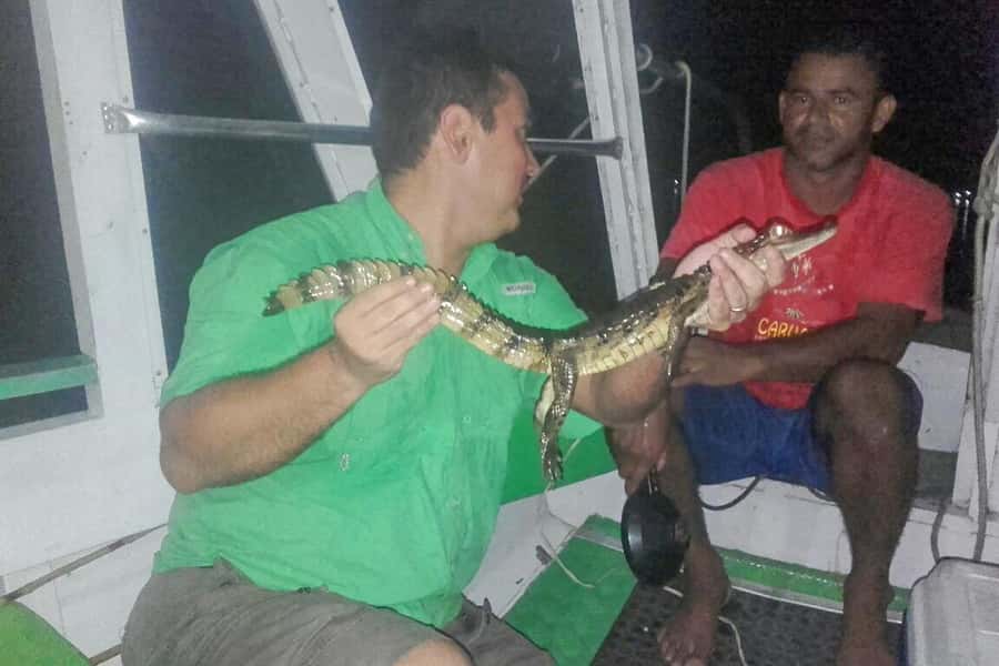 Manaus: Piranha Fishing and Alligator Watch Evening Tour - What the five-hour schedule really means