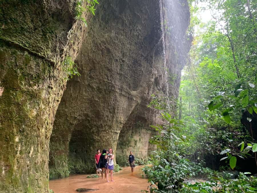Manaus: Presidente Figueiredo Caves and Waterfalls Tour - Key points at a glance
