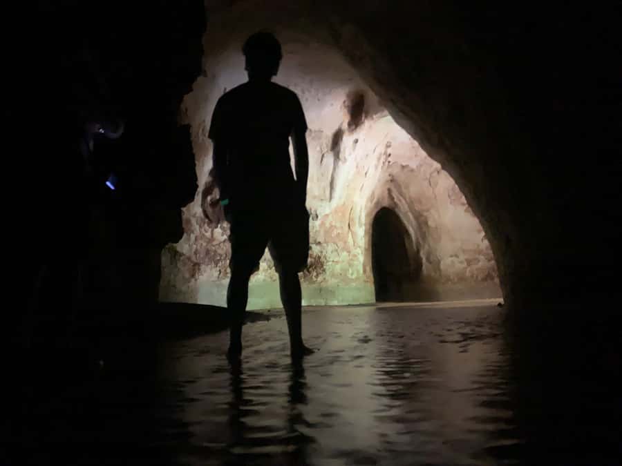Manaus: Presidente Figueiredo Caves and Waterfalls Tour - Who will enjoy this tour most