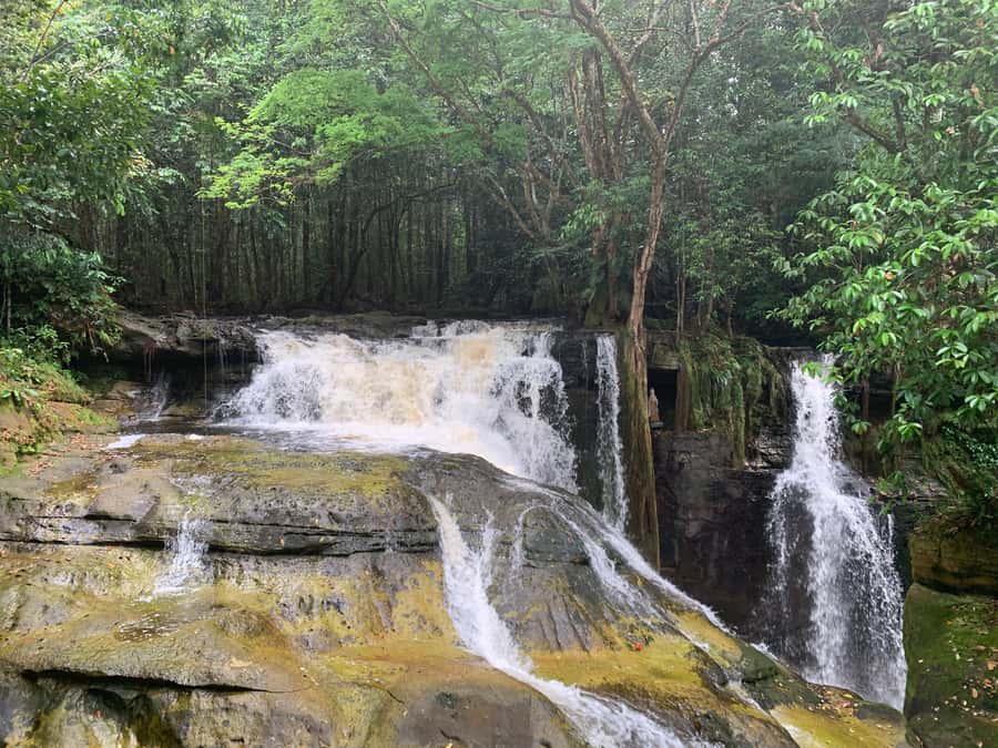 Manaus: Presidente Figueiredo Caves and Waterfalls Tour - The road from Manaus to Presidente Figueiredo