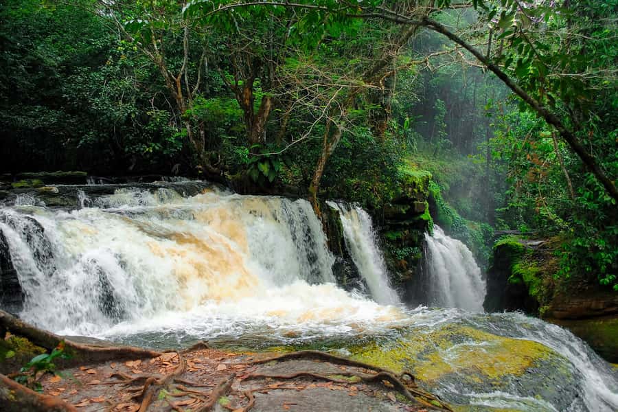 Manaus: Presidente Figueiredo Caves and Waterfalls Tour - Maruaga Cave, Judea Grotto, and the film connection