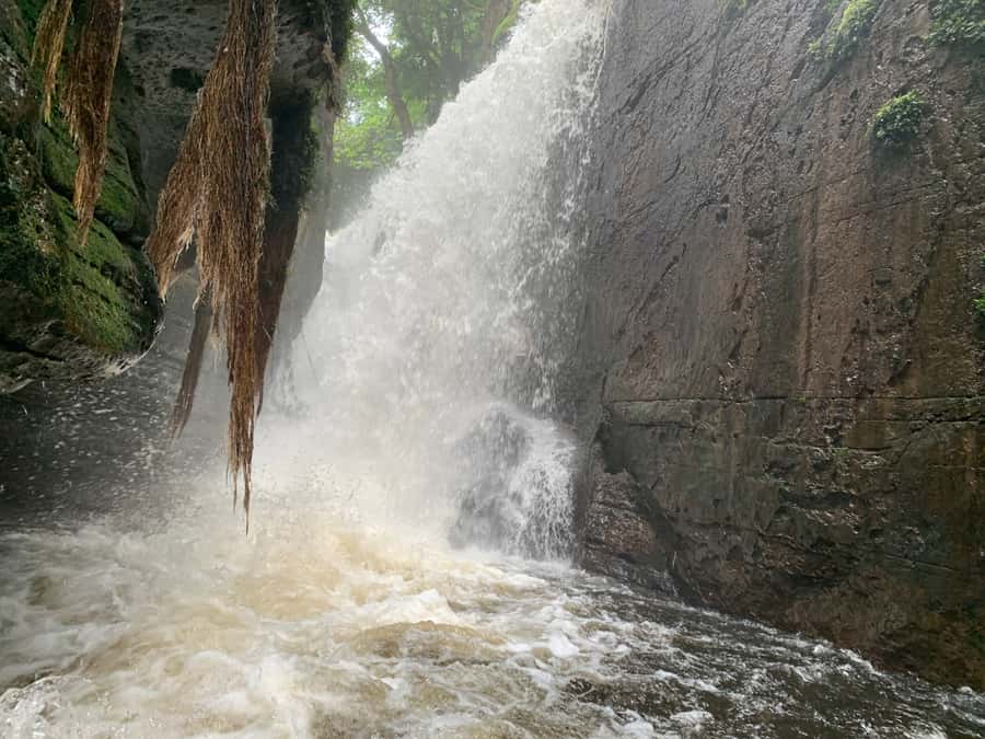 Manaus: Presidente Figueiredo Caves and Waterfalls Tour - Waterfalls for swimming and scenery