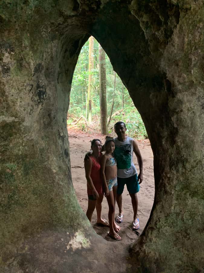 Manaus: Presidente Figueiredo Caves and Waterfalls Tour - Private transport, group size, and language