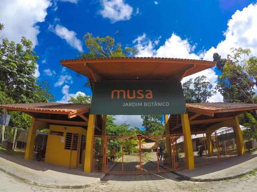 Manaus : Visit to MUSA (Amazon Museum) - Key points to know before you book