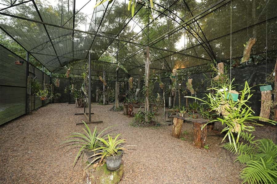 Manaus : Visit to MUSA (Amazon Museum) - Why MUSA is different from a standard museum visit