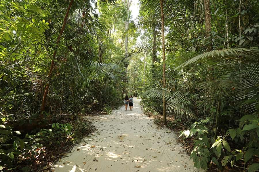 Manaus : Visit to MUSA (Amazon Museum) - Who will enjoy this visit most