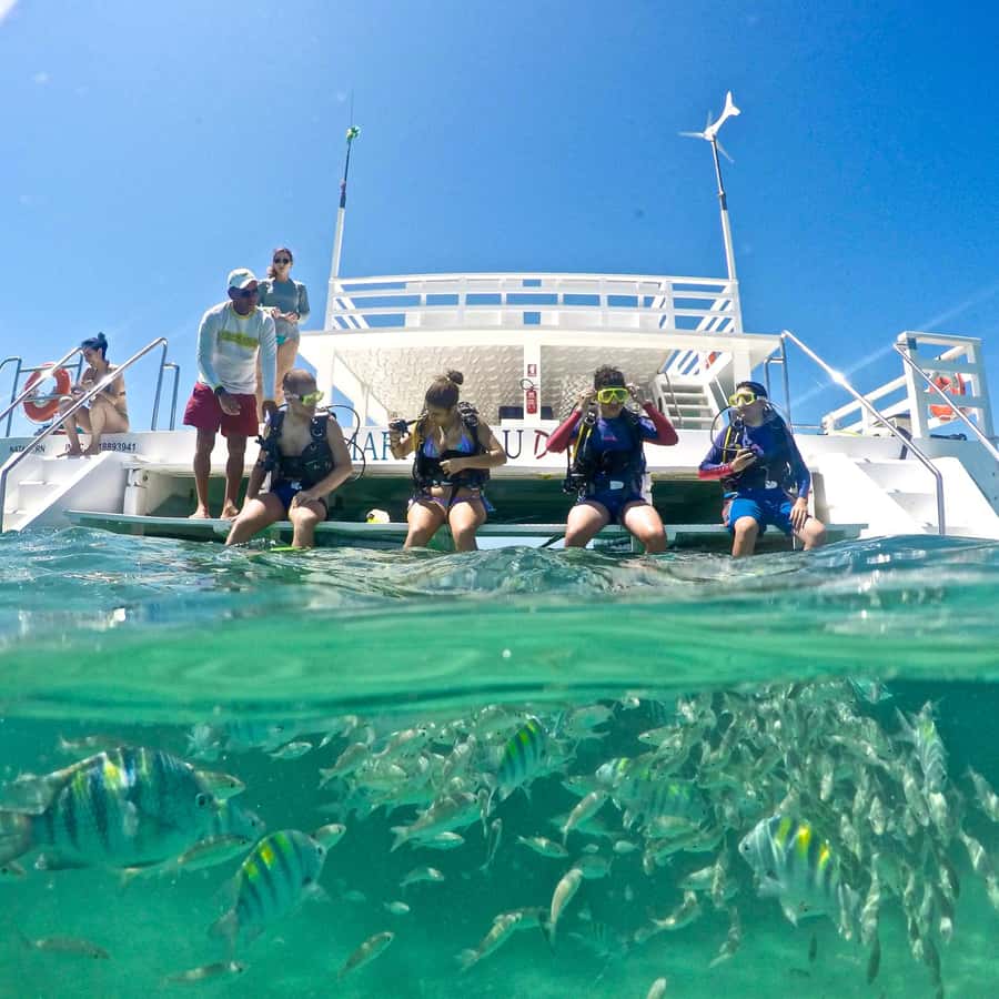 Maracajau Parrachos Reef: Mask and Snorkel swim adventure - Why Maracajaú’s Parrachos Reef is worth the early start