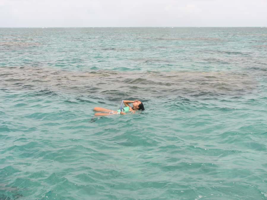 Maracajau Parrachos Reef: Mask and Snorkel swim adventure - Returning to shore: two hours for food and extras