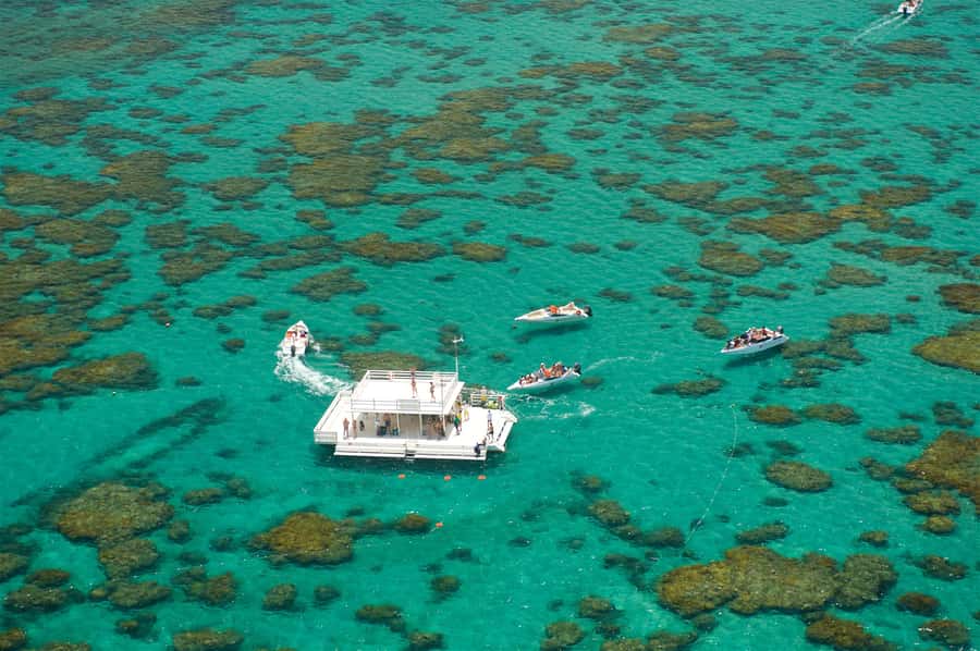 Maracajau Parrachos Reef: Mask and Snorkel swim adventure - Who will enjoy this outing most?