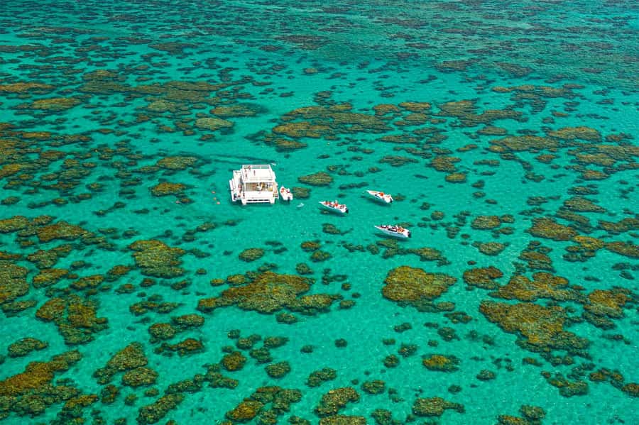 Maracajau Parrachos Reef: Mask and Snorkel swim adventure - My call: book it with a careful confirmation