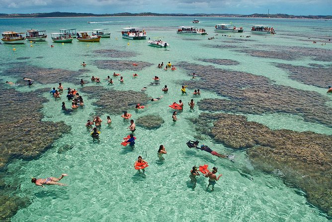 Maragogi / Alagoas Caribbean Brazilian - Arriving at Maragogi’s natural pools