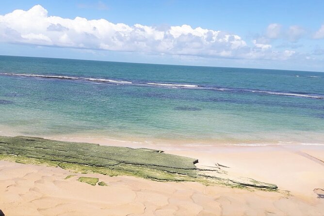 Marapé Dunes Excursion with Luck Receptivo Maceió - The beach, river, and mangrove setting