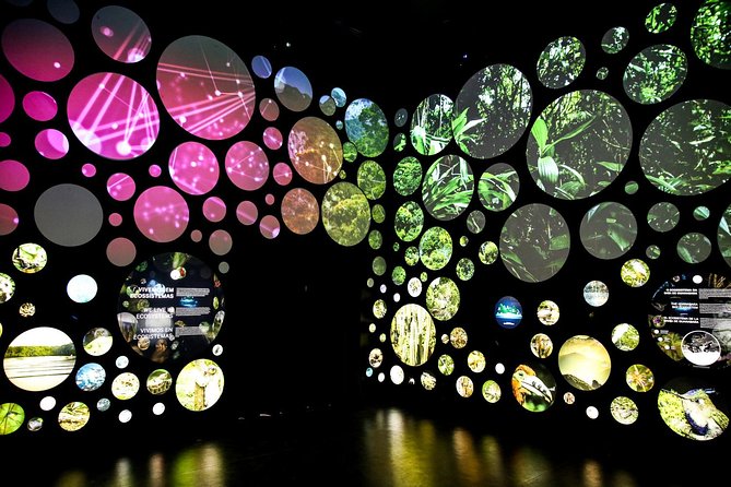 Museum of Tomorrow Guided Tour, Admission & Transfer - Why this museum belongs on your Rio list