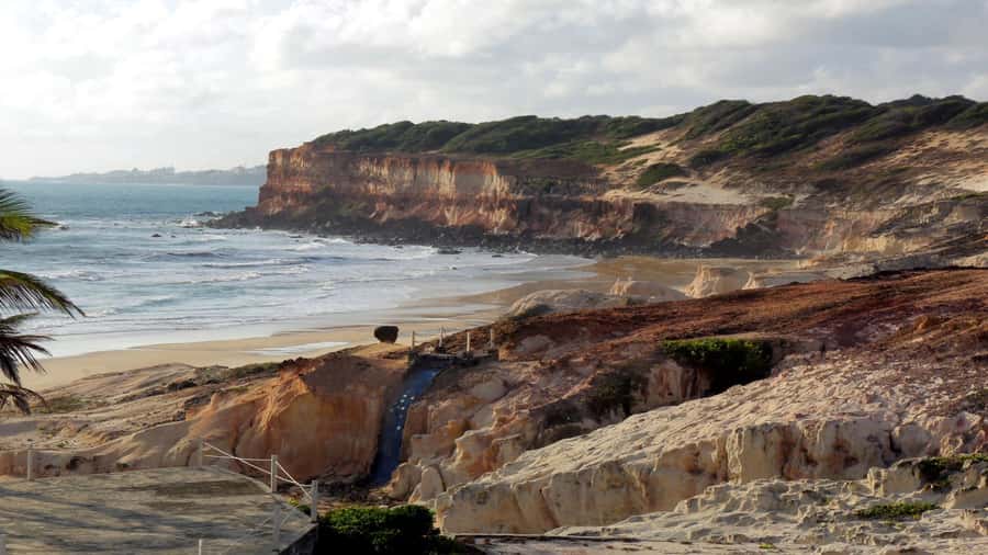Natal: South Coast Day Tour by 4X4 with Pickup - The World’s Largest Cashew Tree