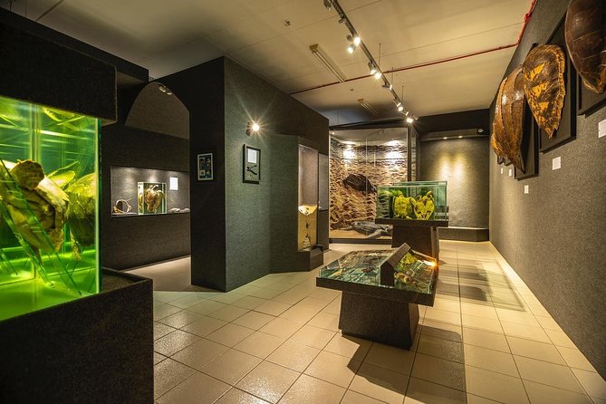 Official Ticket: Oceanographic Museum Univali - Piçarras - SC - Key things to know before you go