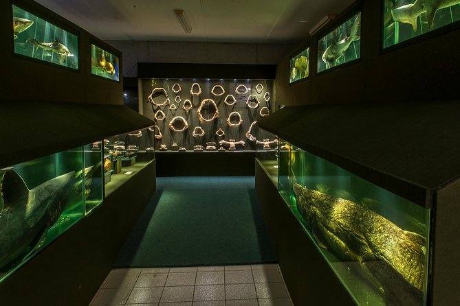 Official Ticket: Oceanographic Museum Univali - Piçarras - SC - Why the collection makes a strong first impression