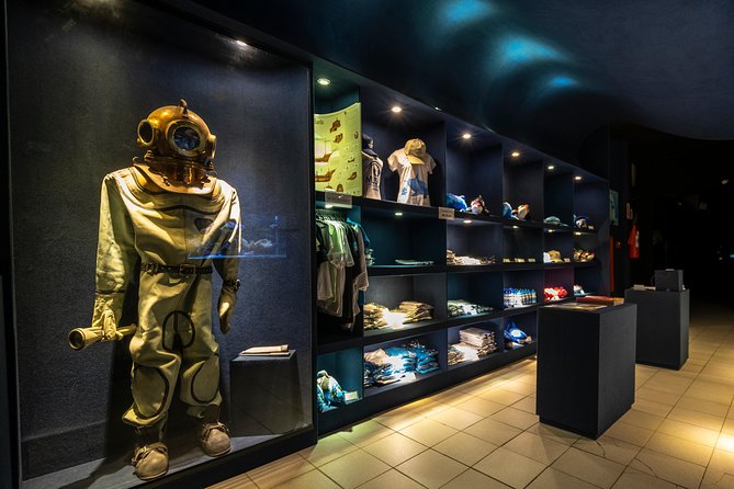 Official Ticket: Oceanographic Museum Univali - Piçarras - SC - Gray Wing: Brazil’s five sea turtle species
