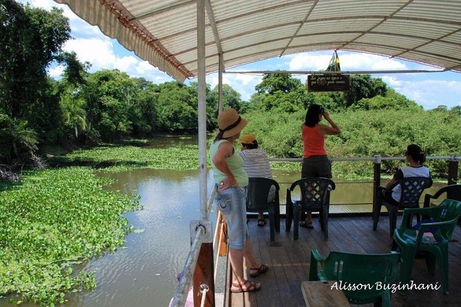 Pantanal Day Trip - All Inclusive - Leaving Campo Grande - Who will get the most from this day