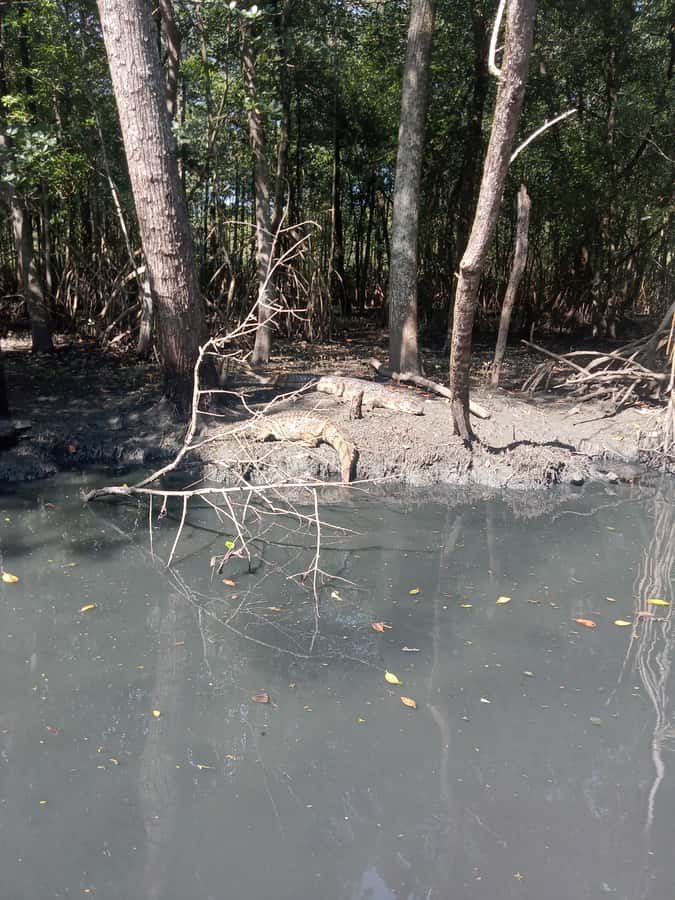 Pantanal of Rio de Janeiro - Guide Quality and Communication