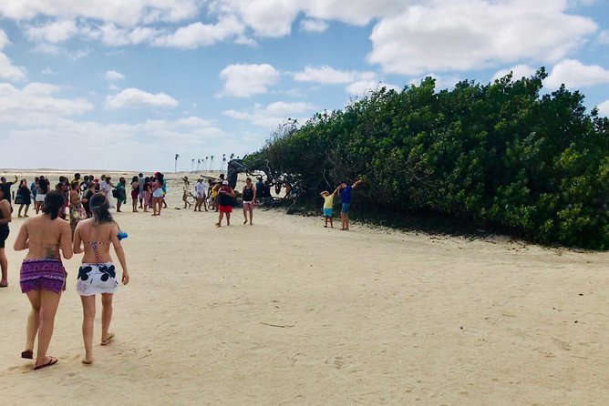 Paradise Lagoon tour - Preá Beach brings a quieter coastal break