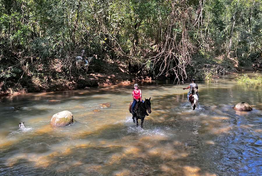 Paraty: 3-Hour Rainforest Horseback Ride - Key points to know before you book