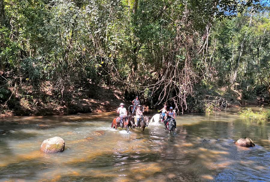 Paraty: 3-Hour Rainforest Horseback Ride - Waterfall stops and time for a swim