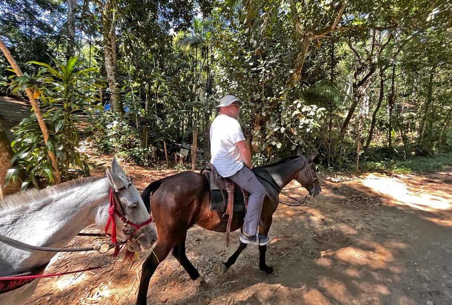 Paraty: 3-Hour Rainforest Horseback Ride - The best views arrive at the lookouts